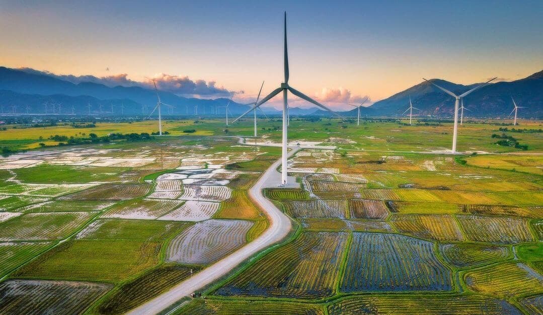 Cánh Đồng Điện Gió Đầm Nại Ninh Thuận - Vẻ Đẹp Hoang Sơ Giữa Gió Cát