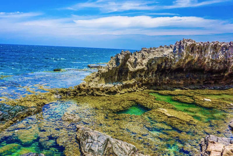 Hang Rái Ninh Thuận – Bãi Đá San Hô Cổ Trong Vườn Quốc Gia Núi Chúa - ảnh 3